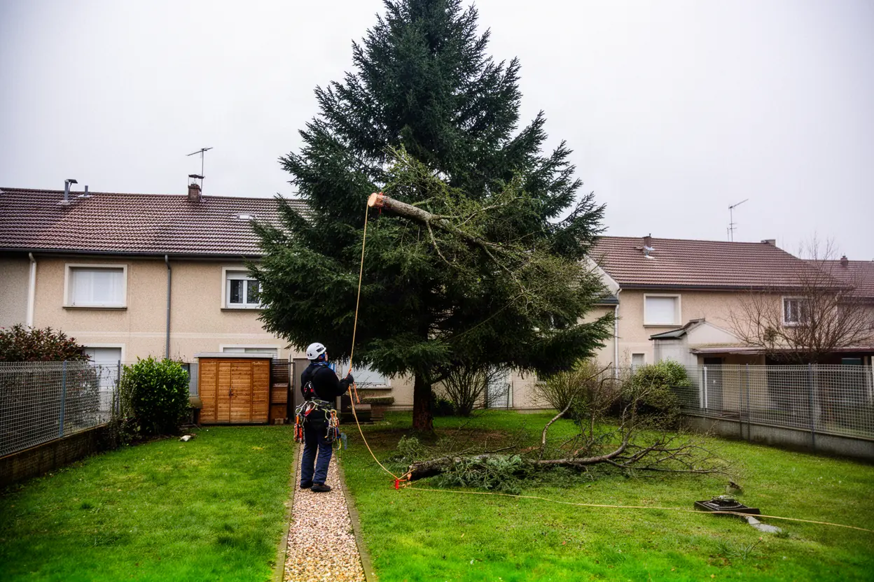 Élagueur démontant un arbre dangereux à Clermont-Ferrand