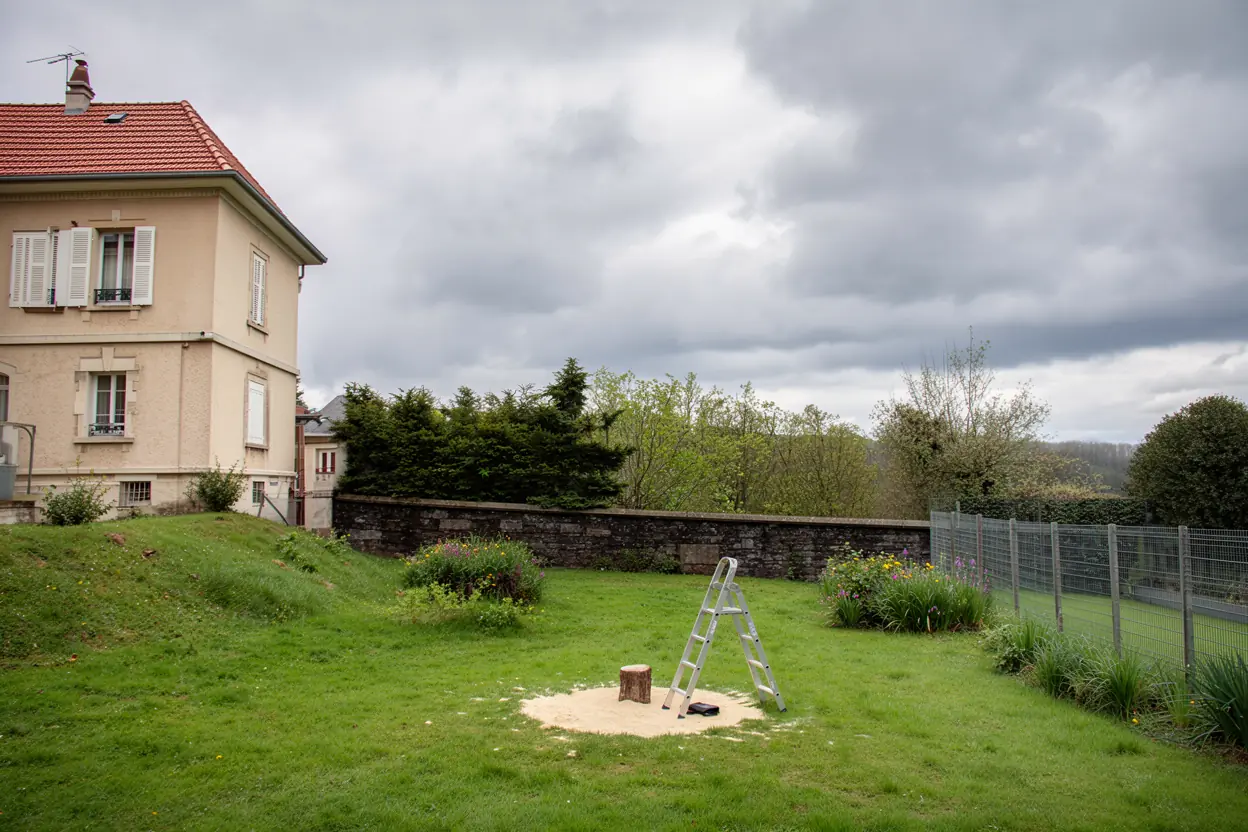 Jardin sécurisé après abattage contrôlé de l'épicéa à Chamalières