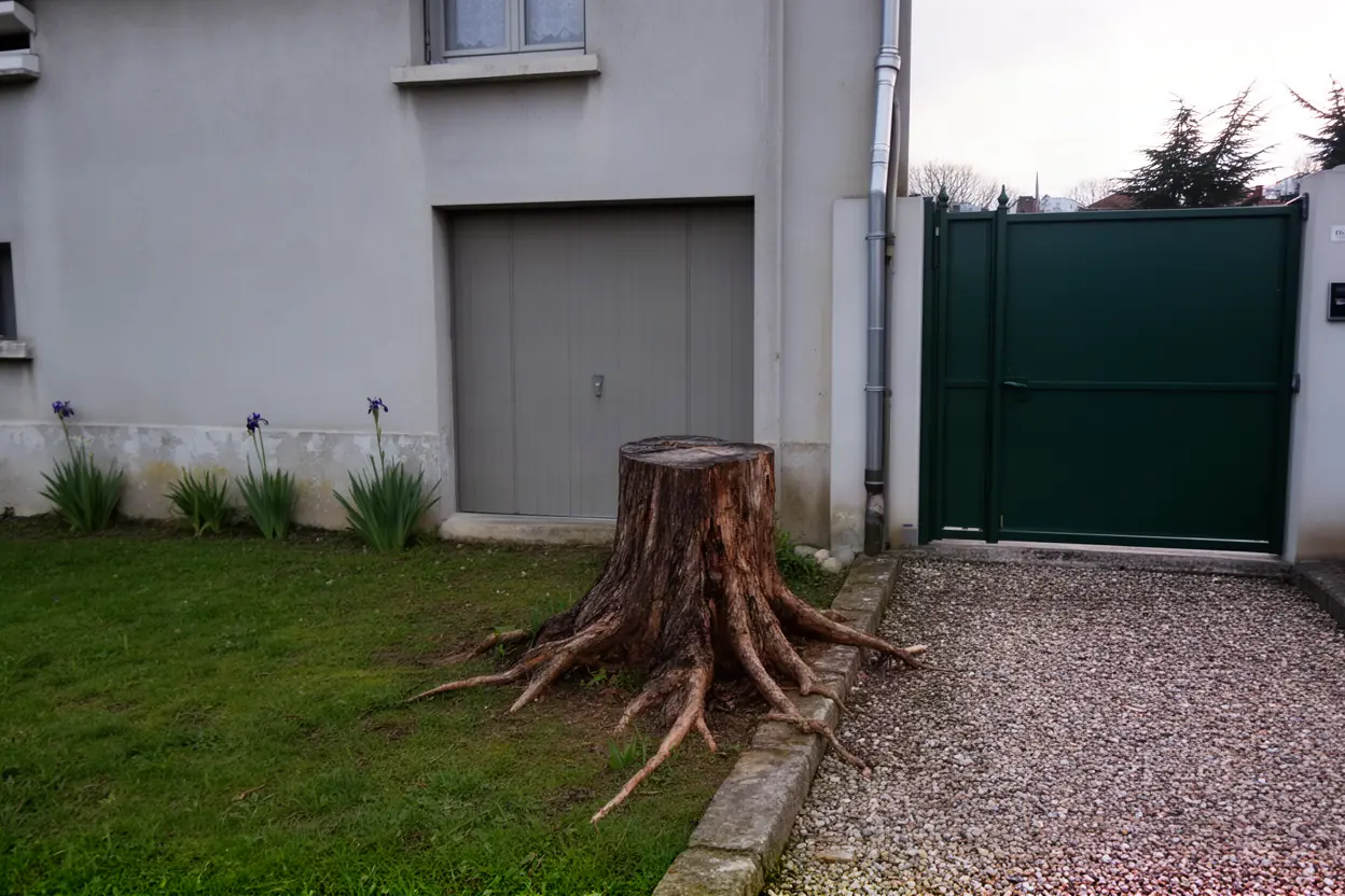 Large souche avant rognage près d'un portail à Riom